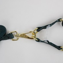 peitoral americano seda